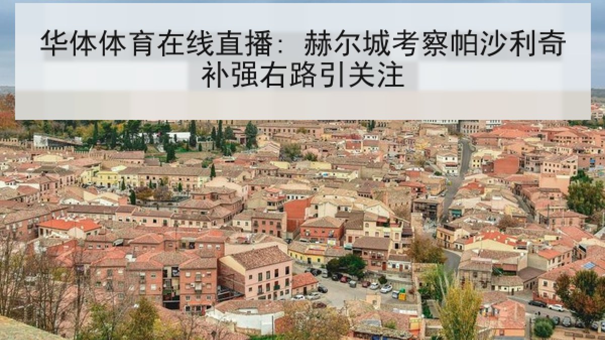 华体体育在线直播: 赫尔城考察帕沙利奇补强右路引关注